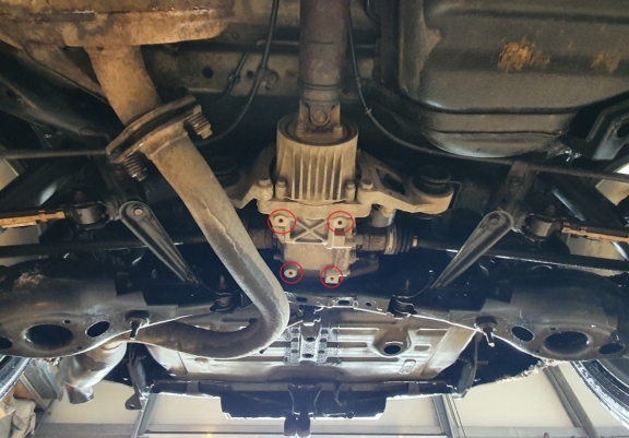 Protection du différentiel Toyota RAV 4