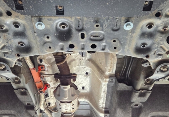 Protection convertisseur catalytique/cat lock Hyundai Sante Fe